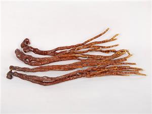 【源宇生物科技】破壁靈芝孢子粉每天應(yīng)該什么時(shí)間服用？